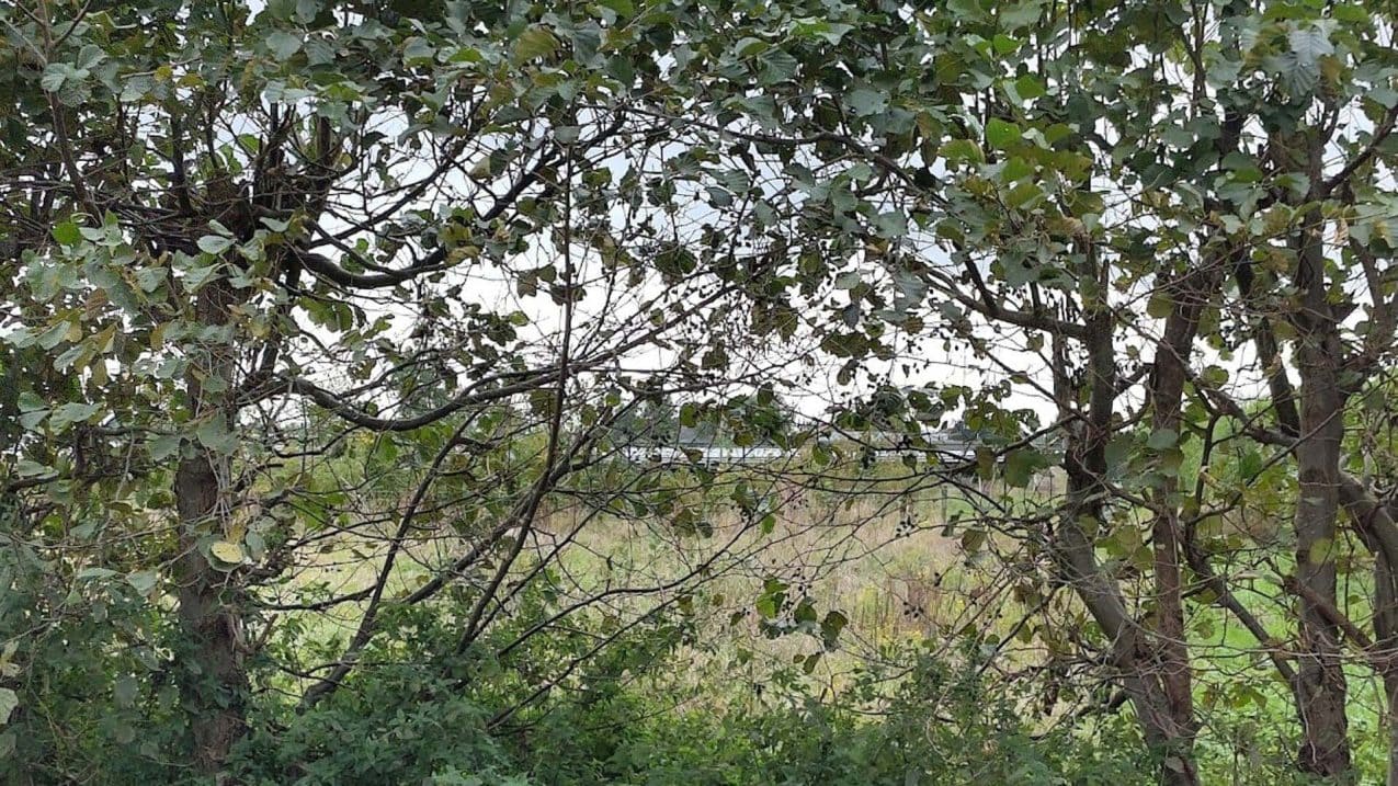 Cothen erfährt kaum Beeinträchtigungen durch Solarpark am Dorfrand